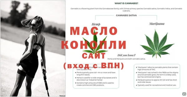 СК Вяземский