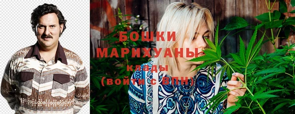 спиды Вязьма