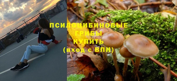СК Вяземский