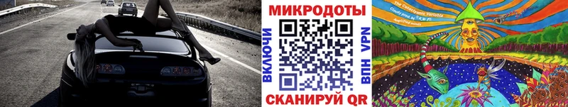 Купить  Кедровый  Псилоцибиновые грибы Psilocybine cubensis 